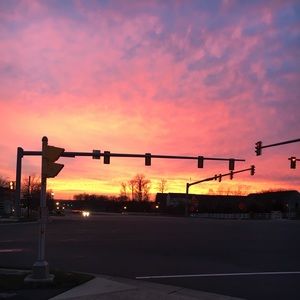 Meet your Posher, Ella